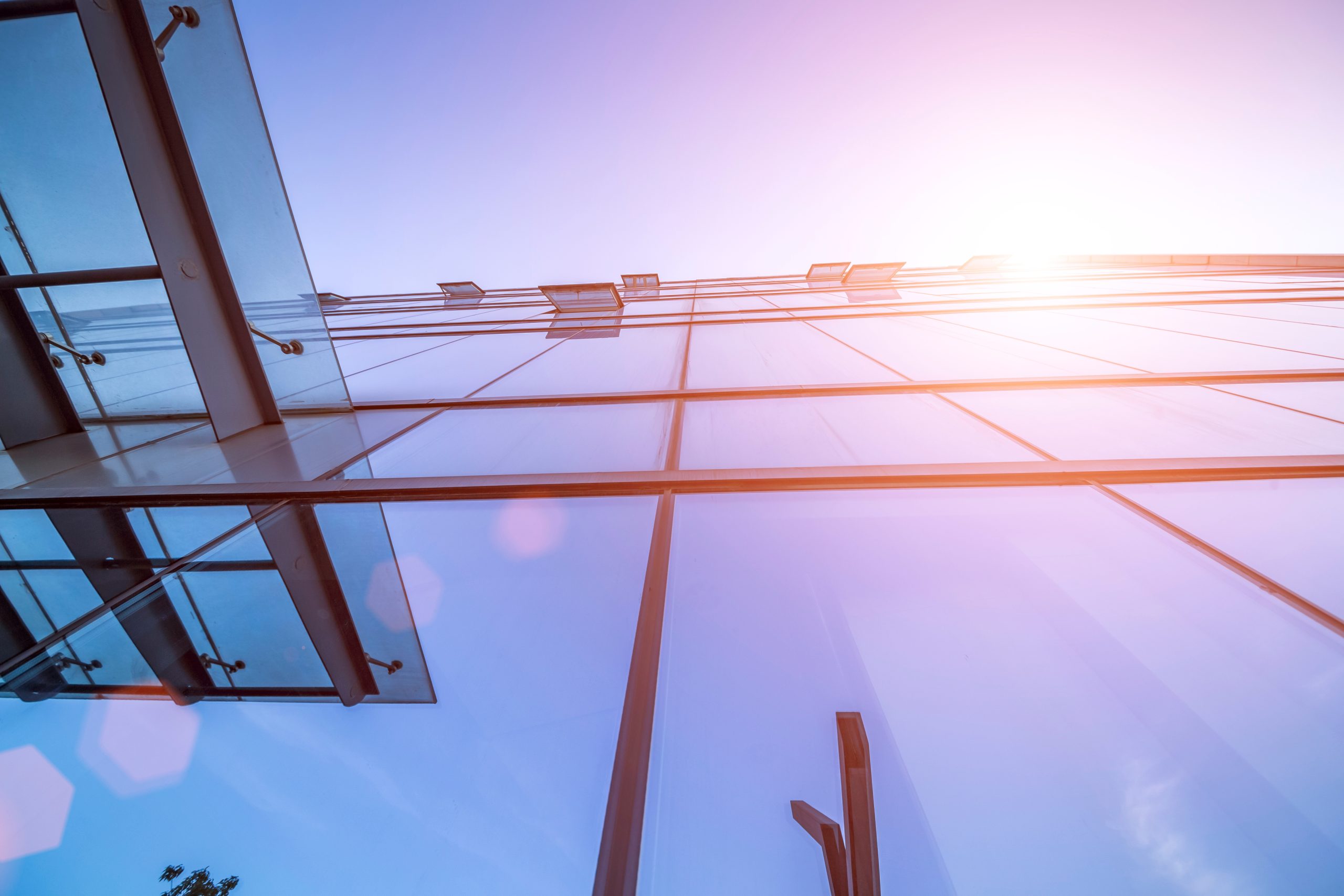 Celebrating Rob Hammond’s 25 Year Anniversary