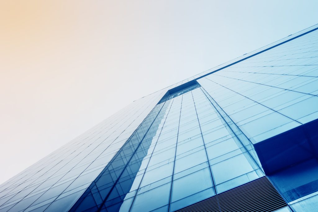 TBH Announces New Executive Appointment